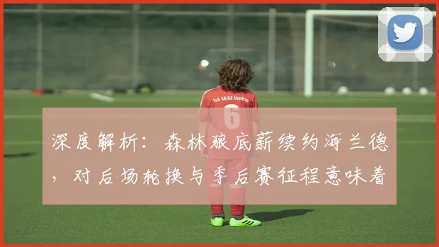 深度解析：森林狼底薪续约海兰德，对后场轮换与季后赛征程意味着什么？